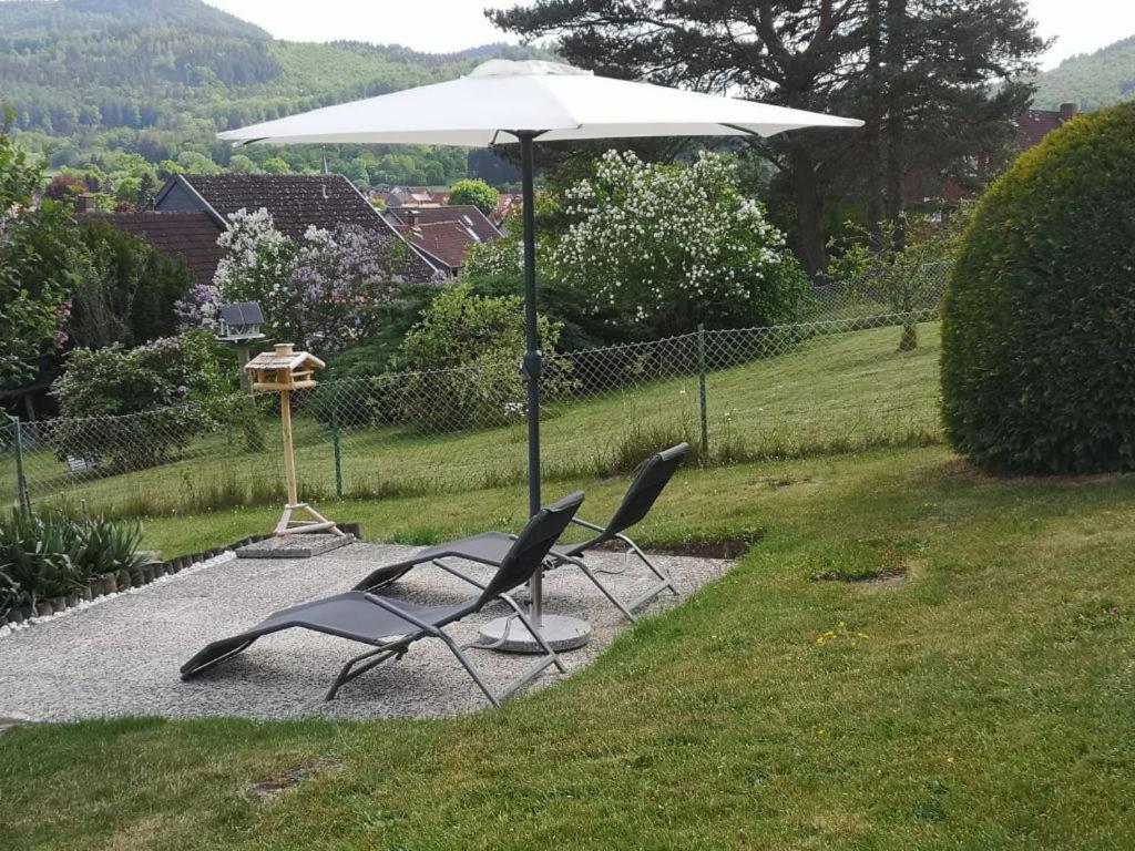 Casa Carlotta - Keine Monteure Vila Langelsheim Exterior foto